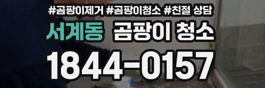 서계동 곰팡이 청소