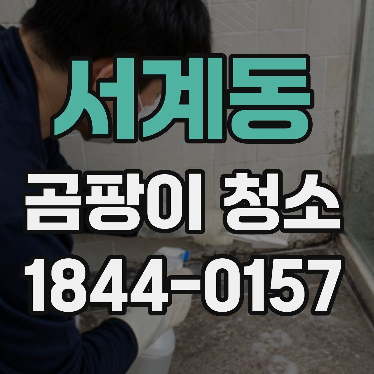 서계동 곰팡이 청소