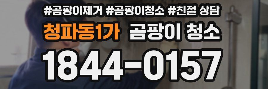청파동1가 곰팡이 청소