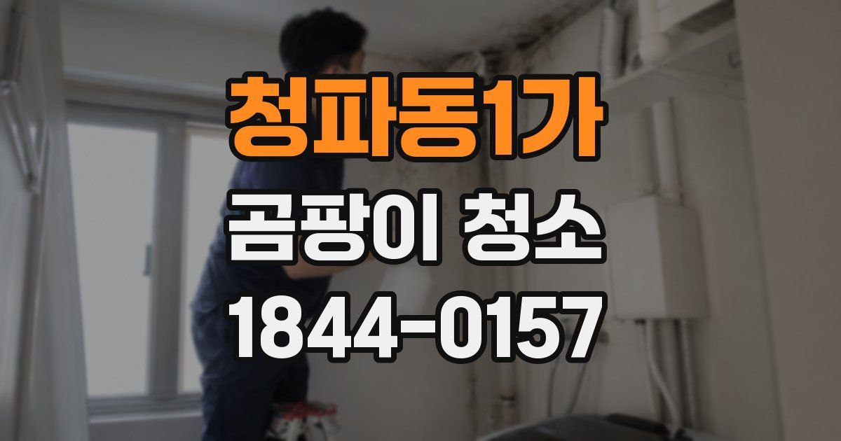 청파동1가 곰팡이 청소