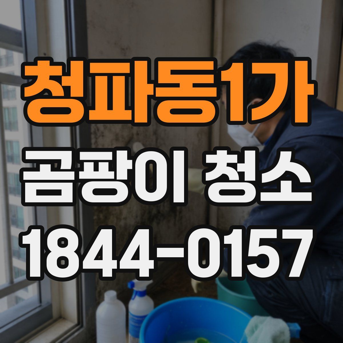 청파동1가 곰팡이 청소