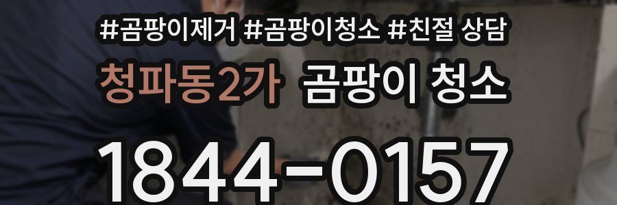 청파동2가 곰팡이 청소
