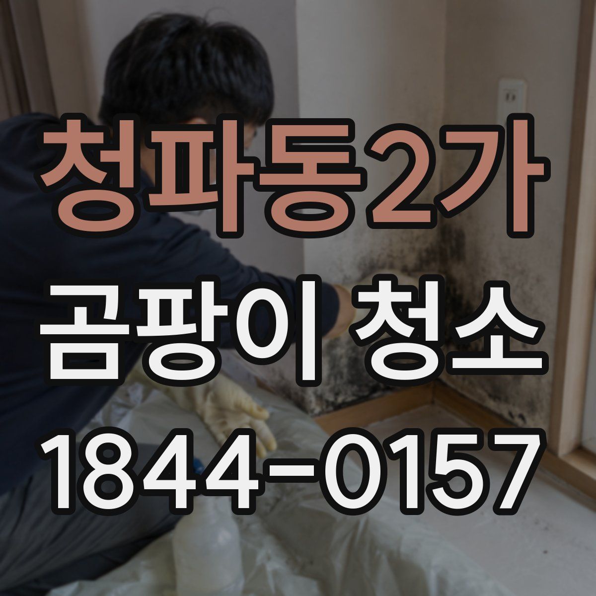 청파동2가 곰팡이 청소