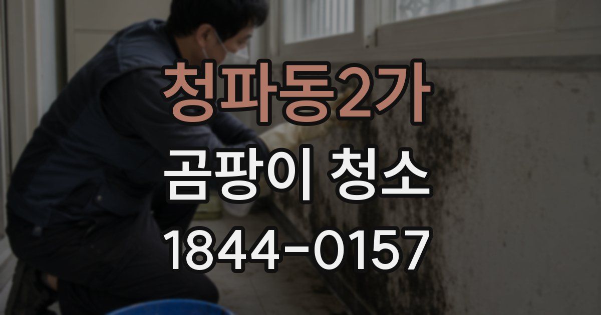 청파동2가 곰팡이 청소