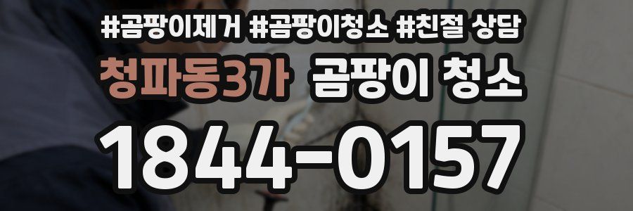 청파동3가 곰팡이 청소