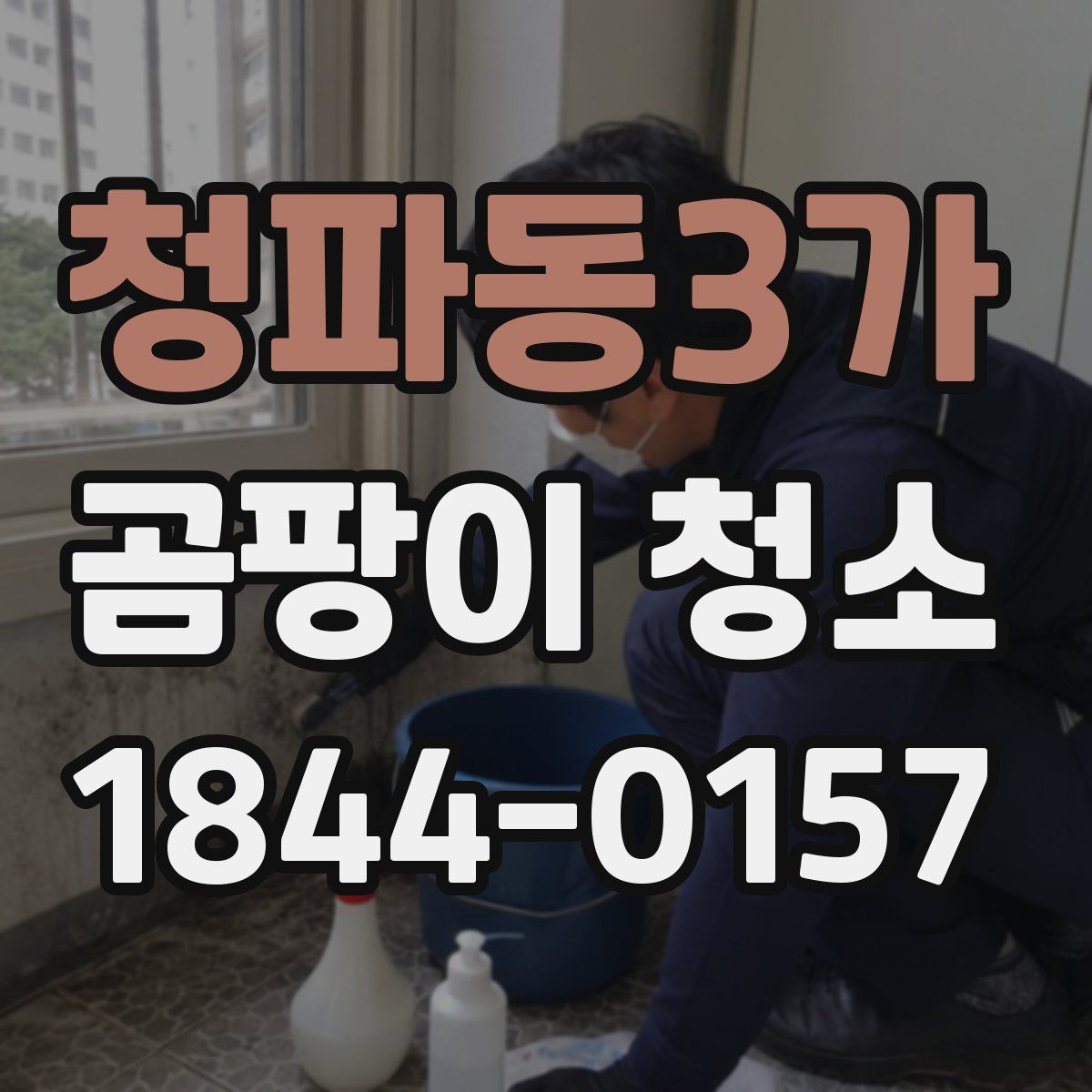 청파동3가 곰팡이 청소