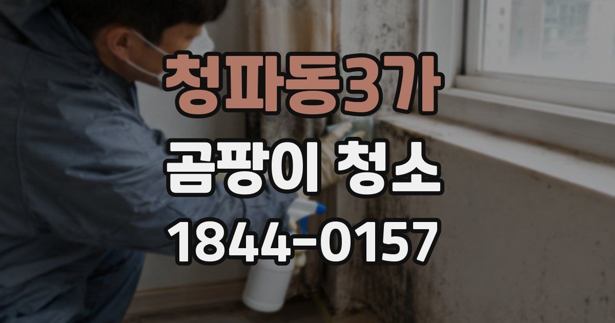청파동3가 곰팡이 청소