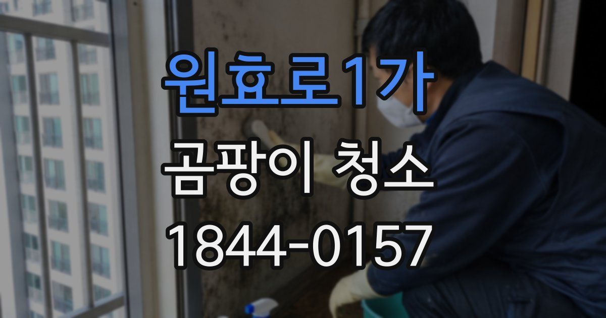 원효로1가 곰팡이 청소