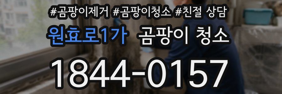 원효로1가 곰팡이 청소