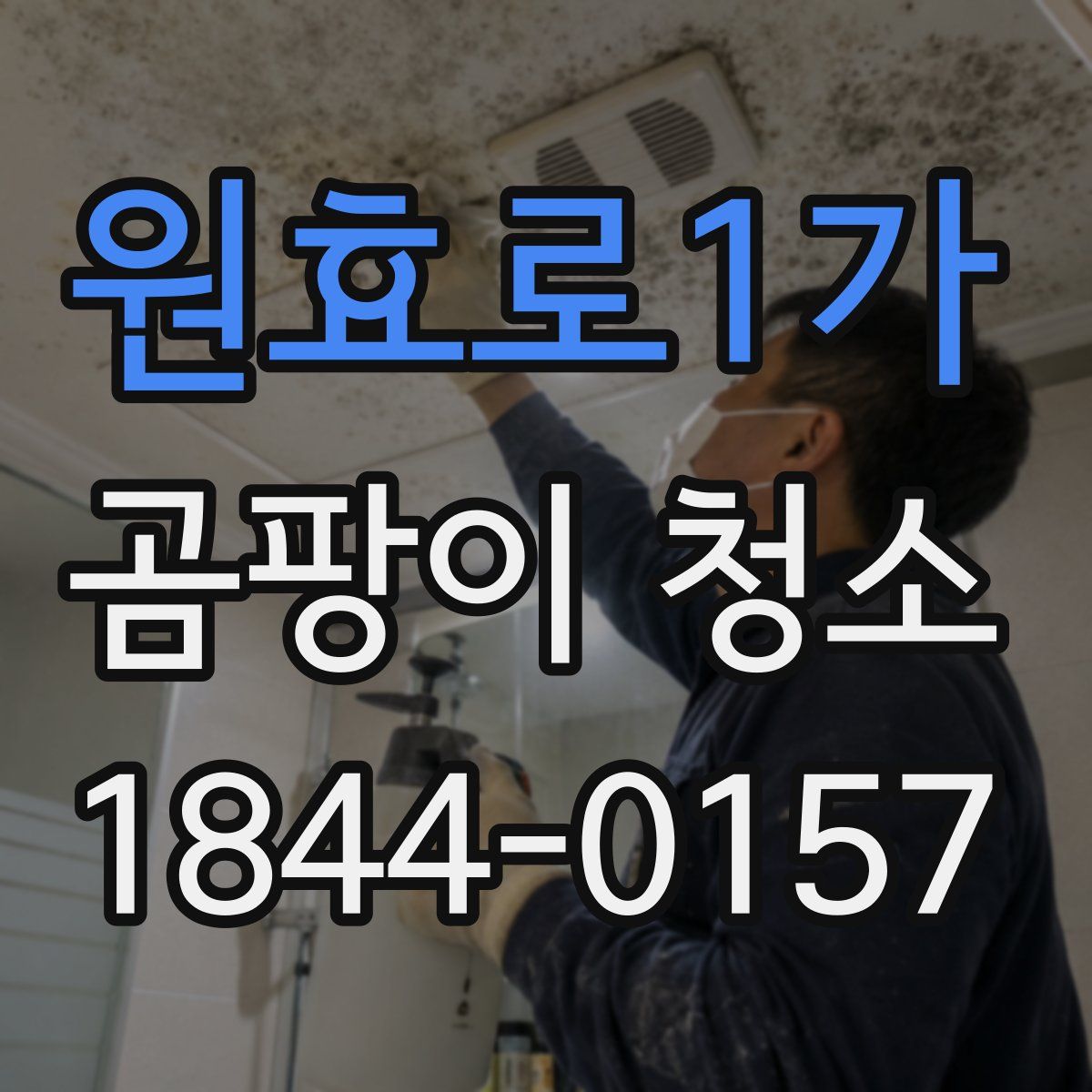 원효로1가 곰팡이 청소
