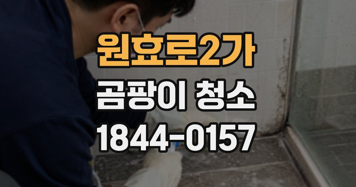 원효로2가 곰팡이 청소