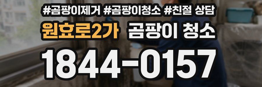 원효로2가 곰팡이 청소