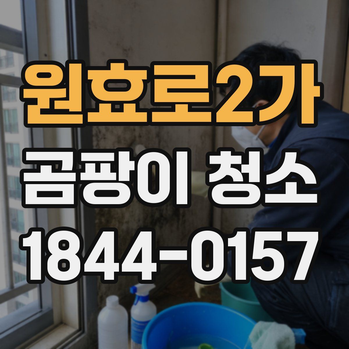 원효로2가 곰팡이 청소