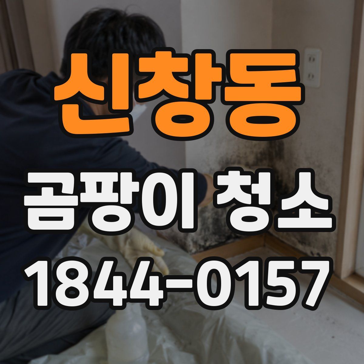 신창동 곰팡이 청소