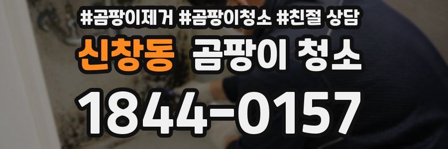 신창동 곰팡이 청소