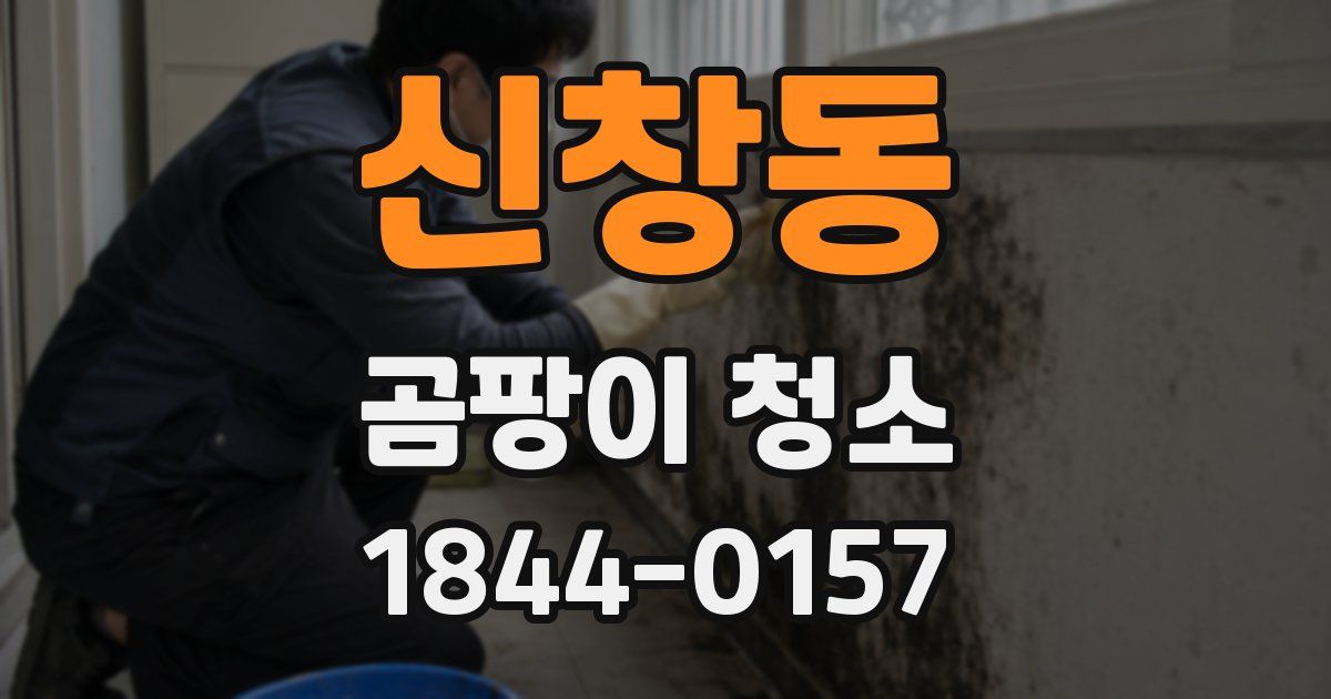 신창동 곰팡이 청소