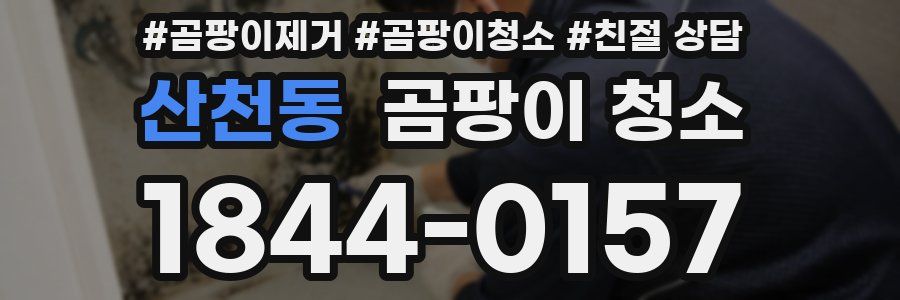 산천동 곰팡이 청소