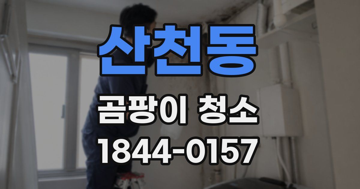 산천동 곰팡이 청소