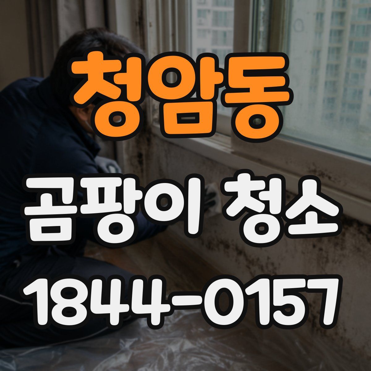 청암동 곰팡이 청소