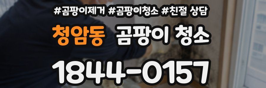 청암동 곰팡이 청소