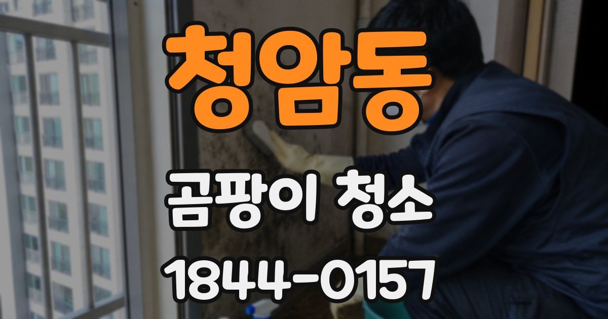 청암동 곰팡이 청소