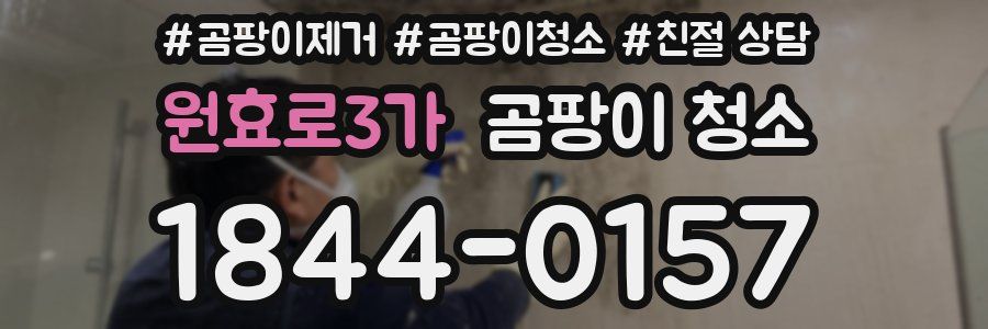 원효로3가 곰팡이 청소