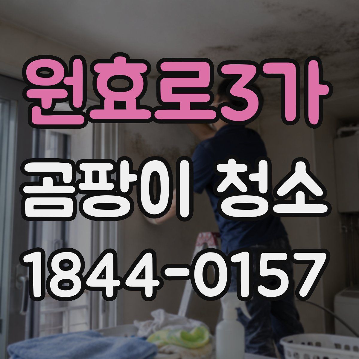 원효로3가 곰팡이 청소