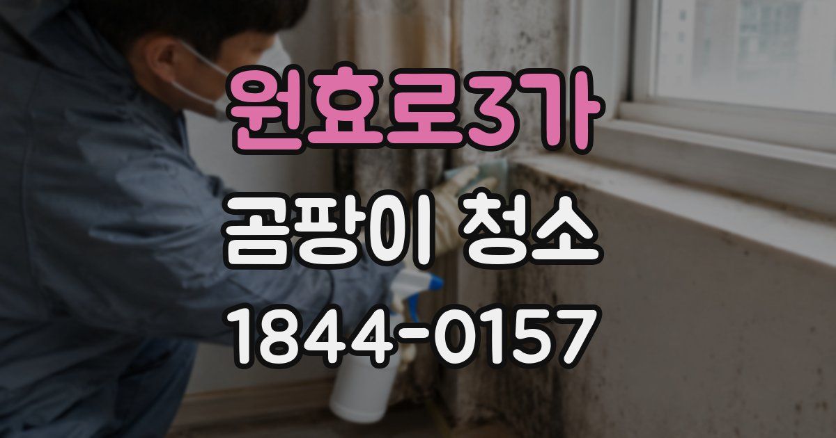 원효로3가 곰팡이 청소
