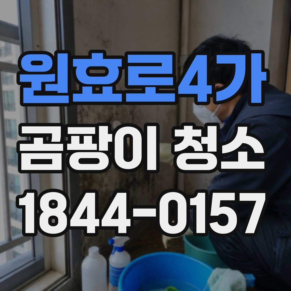 원효로4가 곰팡이 청소