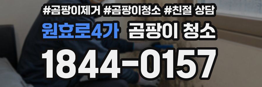 원효로4가 곰팡이 청소