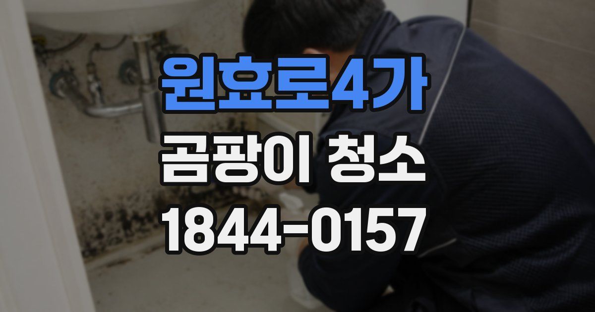 원효로4가 곰팡이 청소