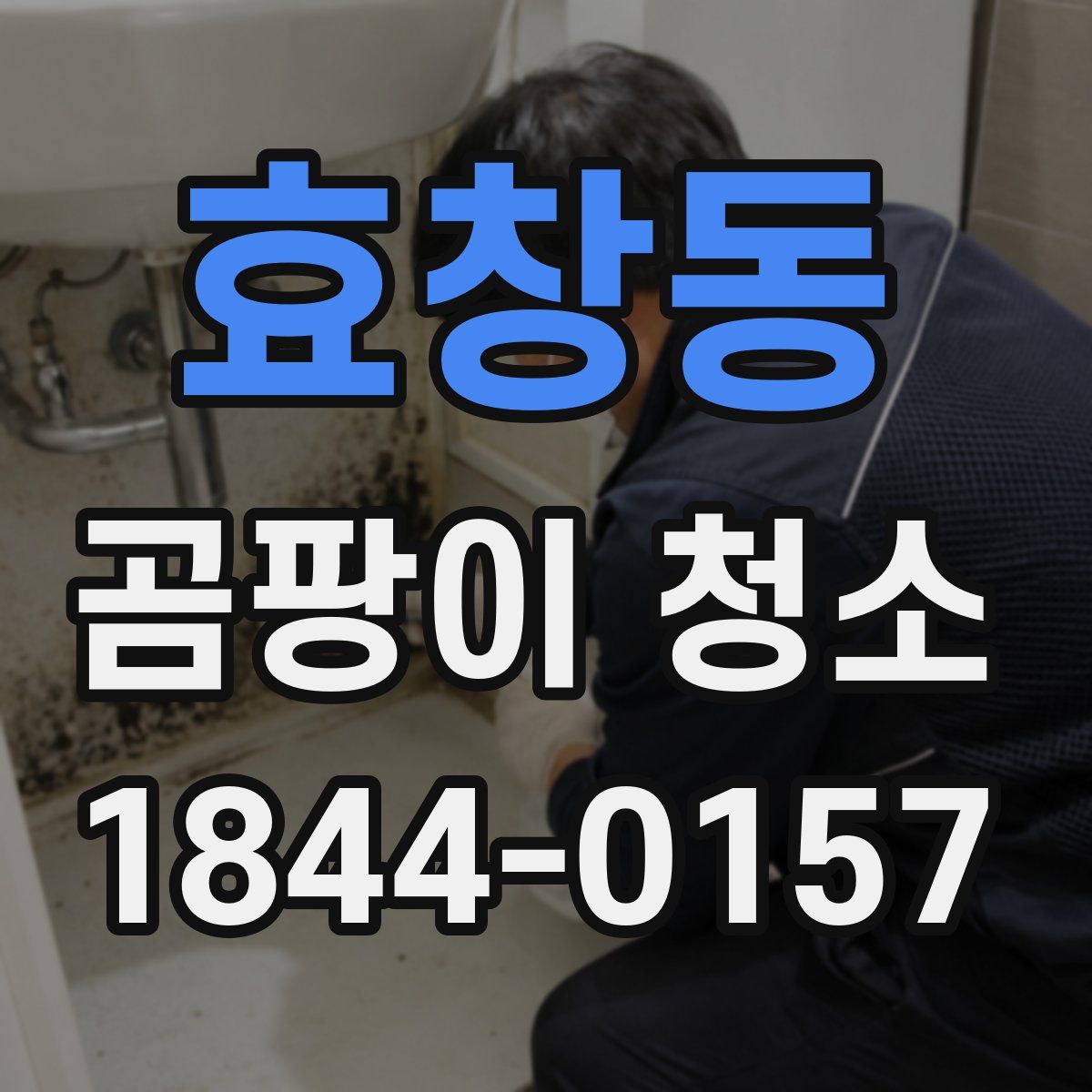 효창동 곰팡이 청소