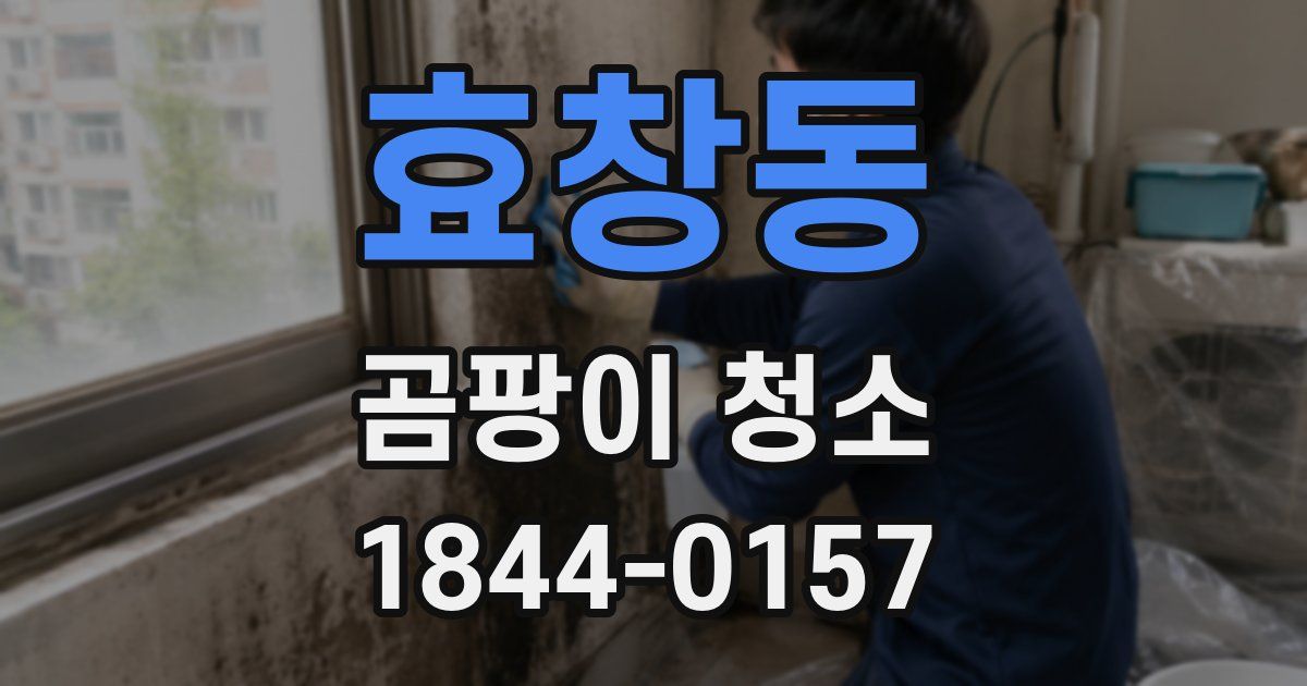 효창동 곰팡이 청소
