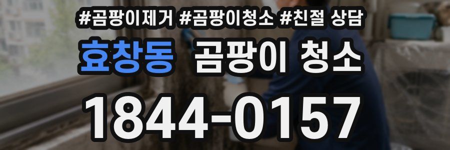 효창동 곰팡이 청소
