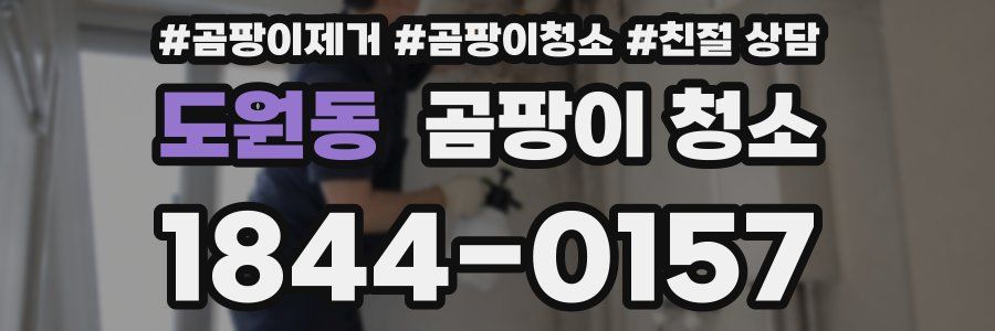 도원동 곰팡이 청소