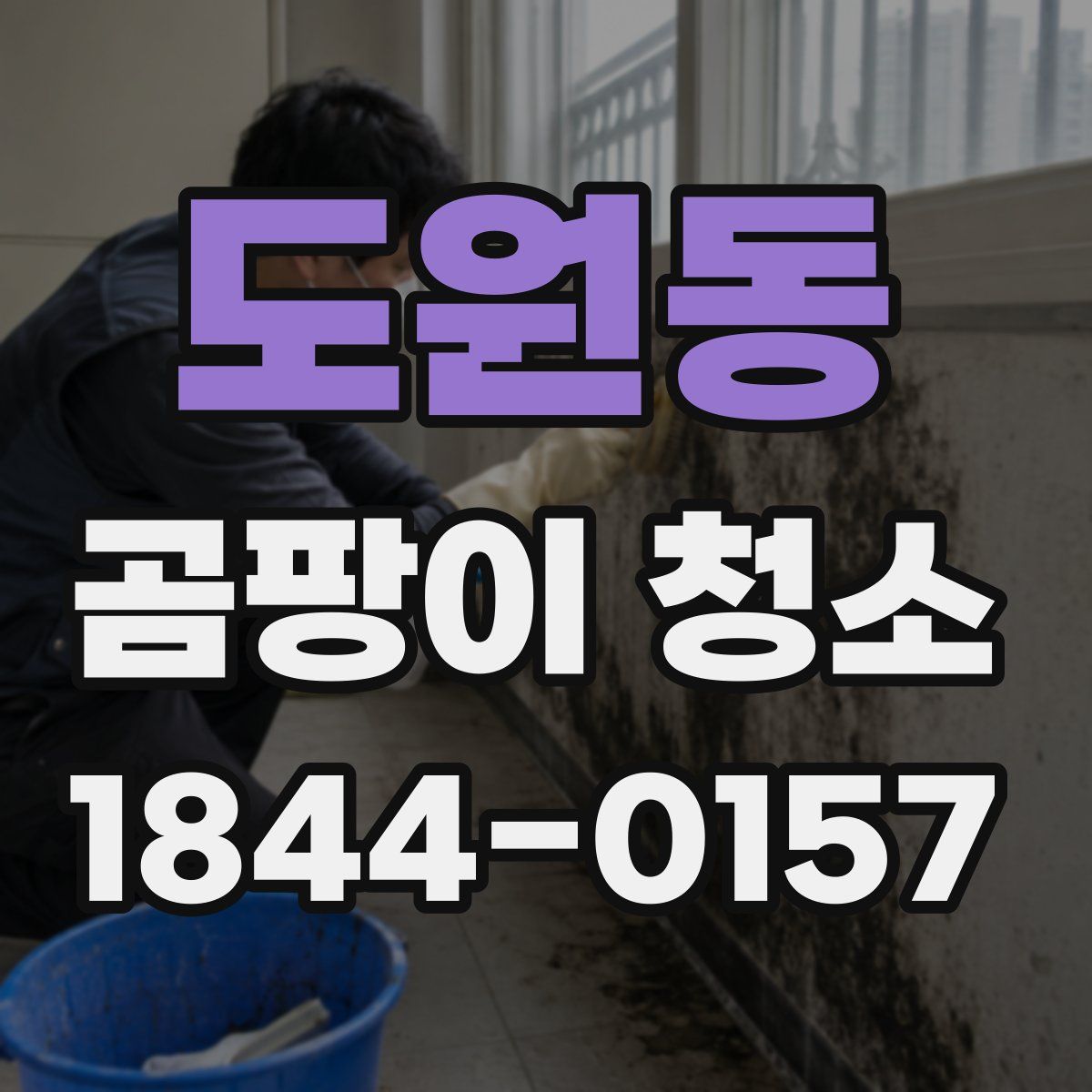 도원동 곰팡이 청소