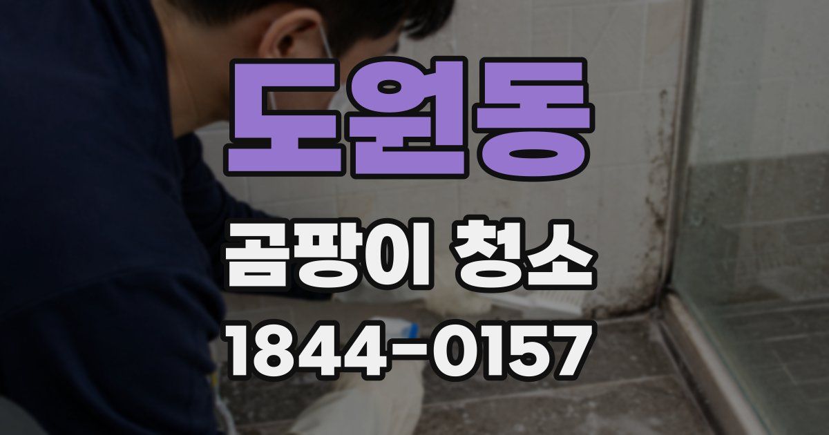도원동 곰팡이 청소