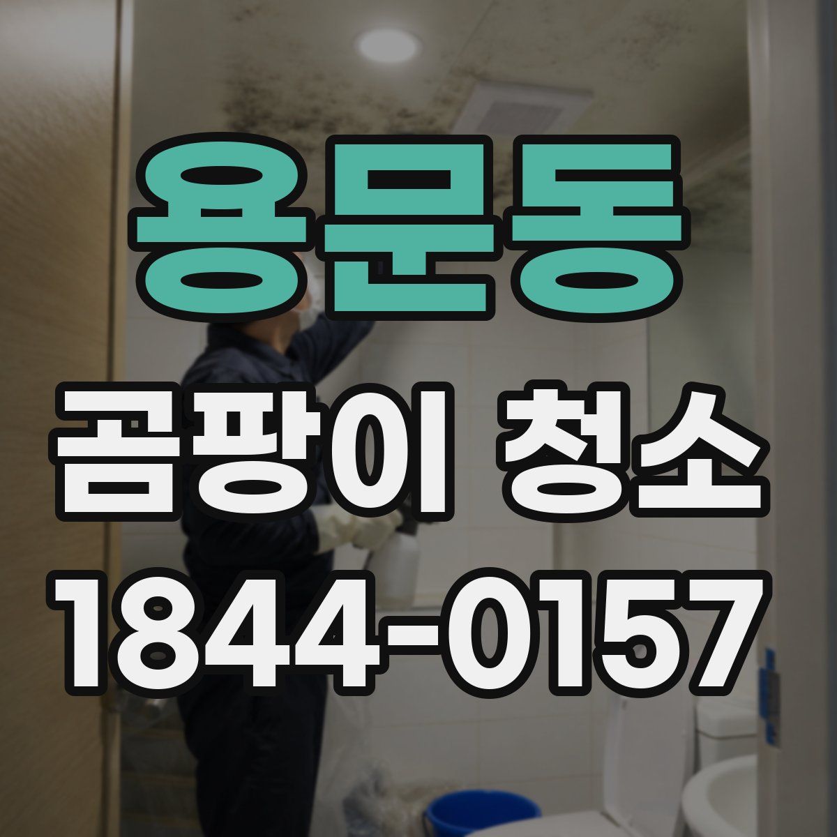 용문동 곰팡이 청소