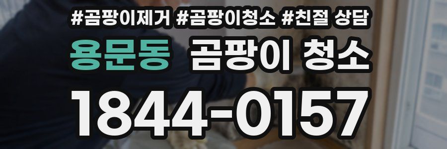 용문동 곰팡이 청소
