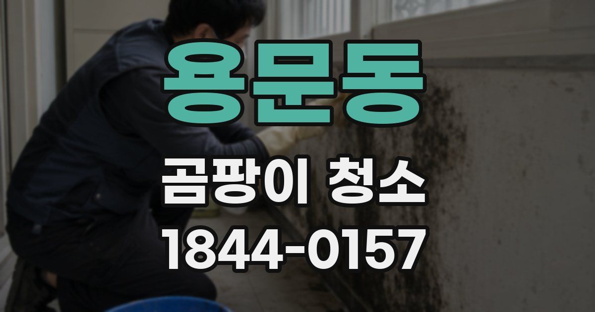 용문동 곰팡이 청소