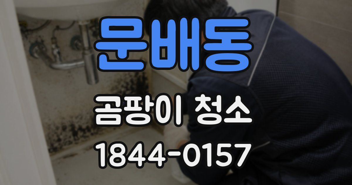 문배동 곰팡이 청소