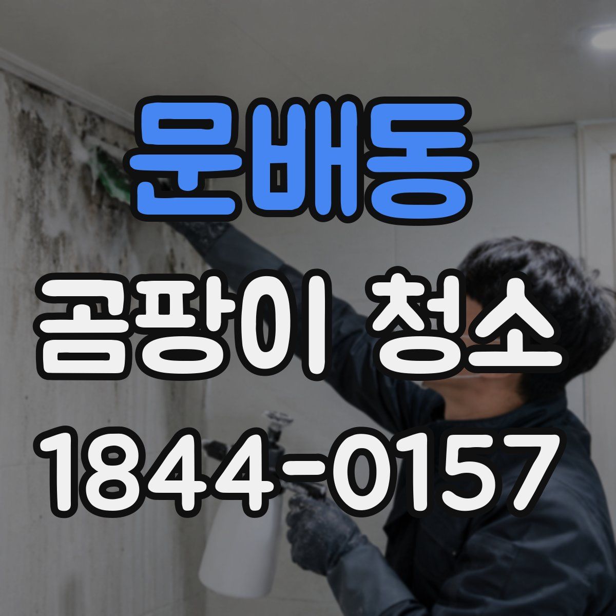 문배동 곰팡이 청소