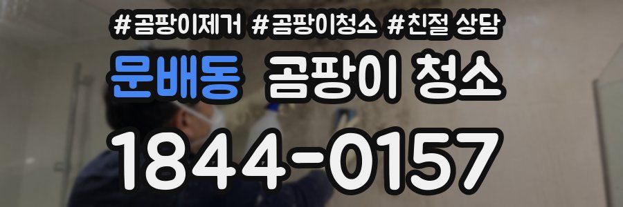 문배동 곰팡이 청소