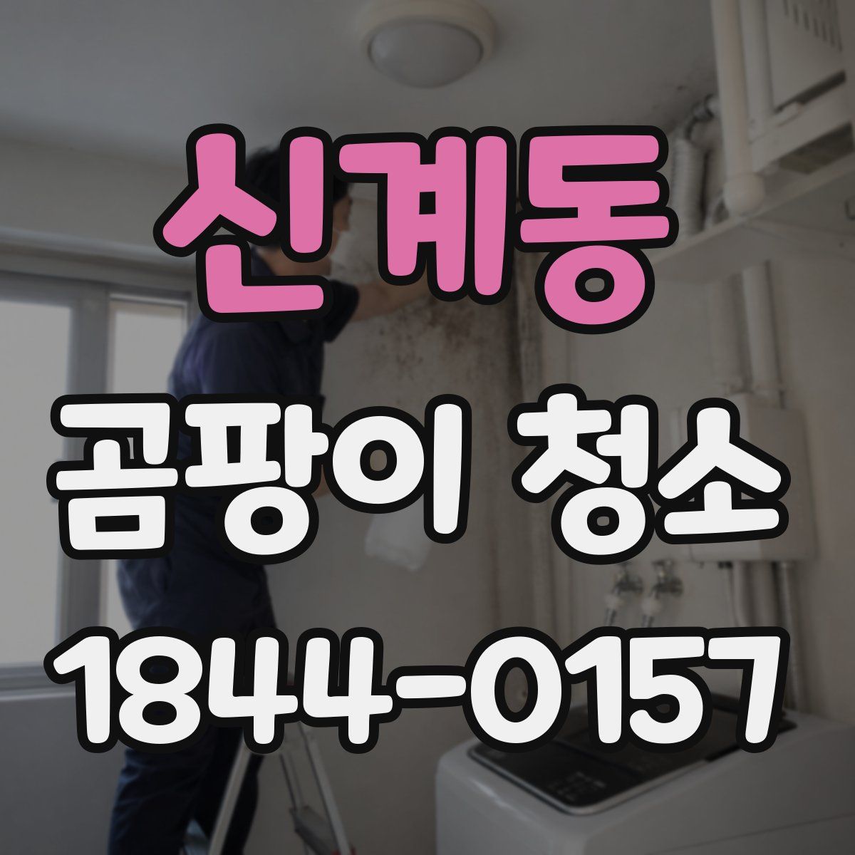 신계동 곰팡이 청소