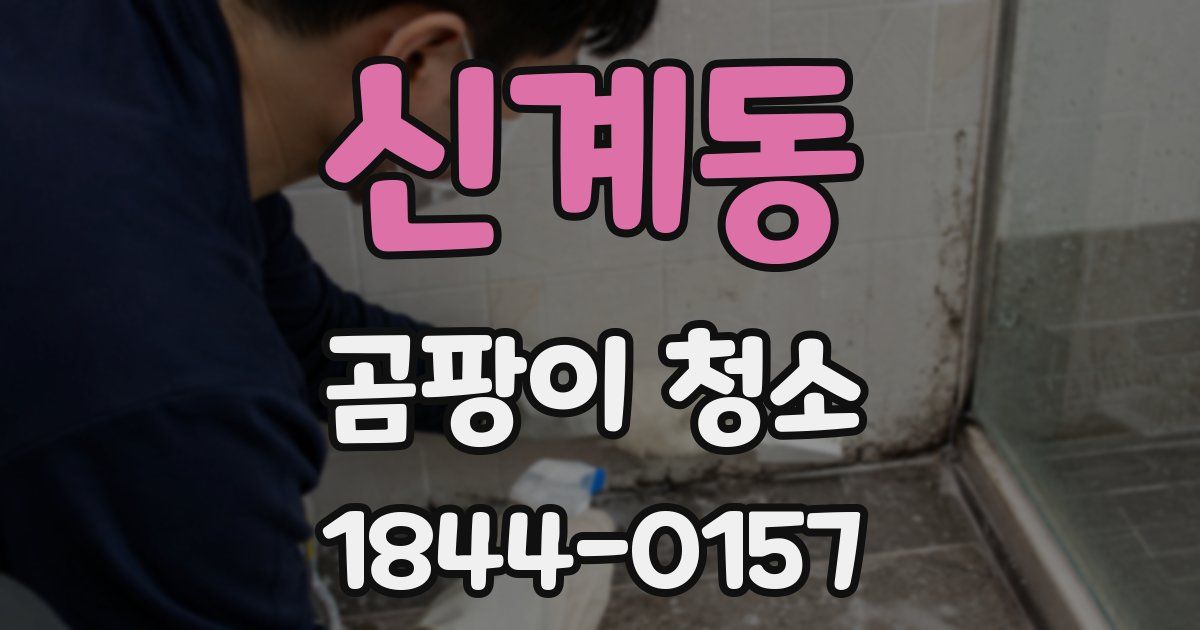 신계동 곰팡이 청소