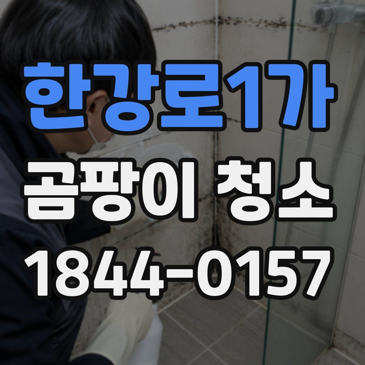 한강로1가 곰팡이 청소