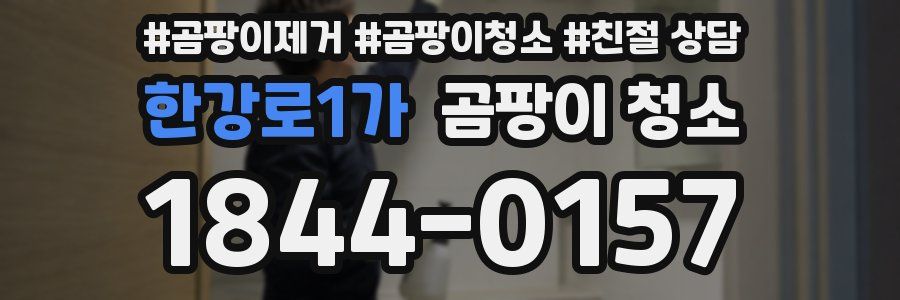 한강로1가 곰팡이 청소