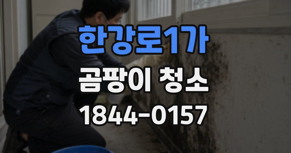 한강로1가 곰팡이 청소