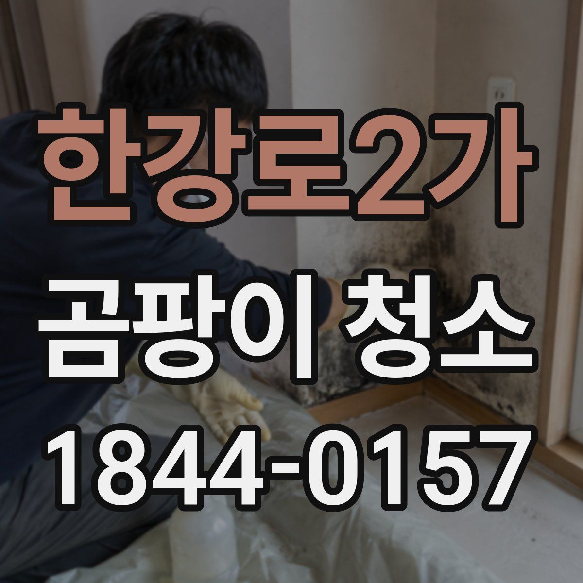 한강로2가 곰팡이 청소