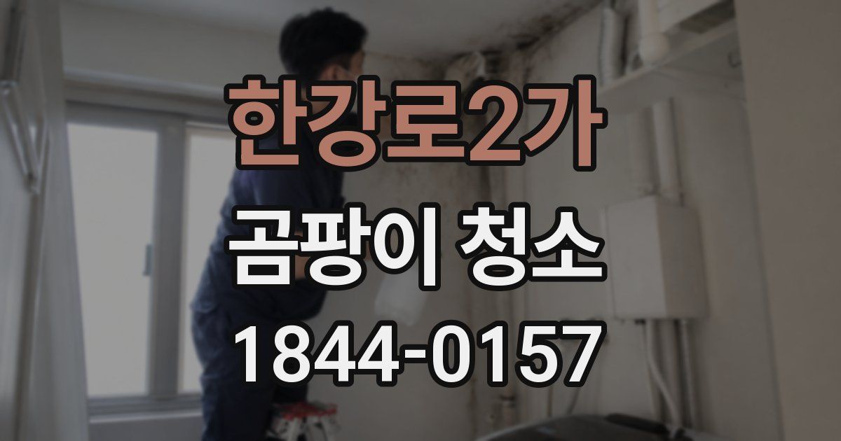 한강로2가 곰팡이 청소